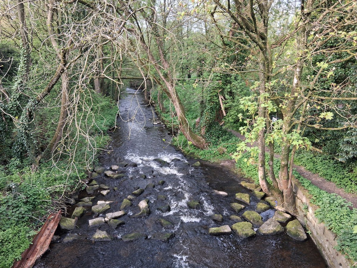 River Douglas from the bridge opposite Pincroft. Greater Manchester if you head off to the left and Lancashire to the right.
#adlington #Chorley #Lancashire