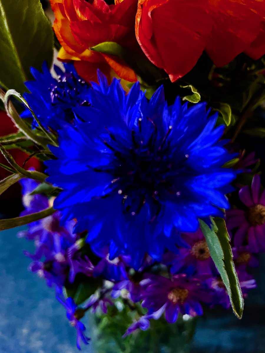 WaxeWod's tweet image. Match my blue with a blue hue of yours? (No faces, please.) 📸