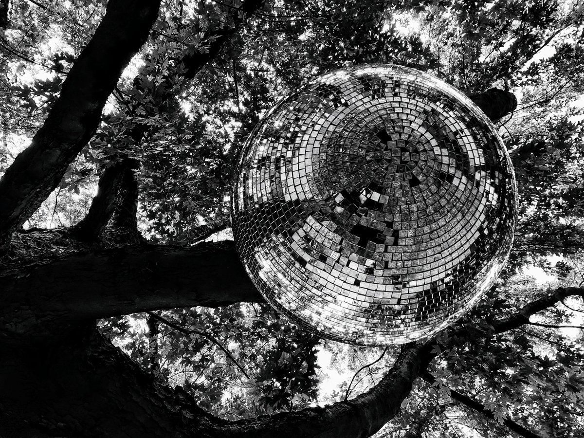 Reflecting beneath a tree..
#mirrorball #discoball 
#phonephotography #phonephoto 
#isleofwight #iow #monochrome 
#monochromephotography 
#photography #trees #oak 
#ventnor #ventnorfringe 
#bnw #blackandwhitephotography #blackandwhite #ruleofthirds