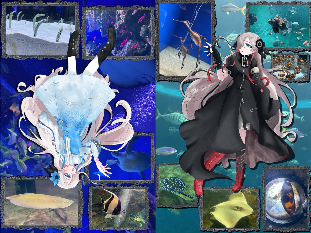 itsumin03's tweet image. 