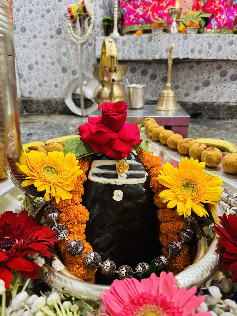 neelkanthtemple's tweet image. शुभ रात्रि श्री नीलकंठ महादेव जी
📍 श्री नीलकंठ महादेव मंदिर उत्तराखंड
