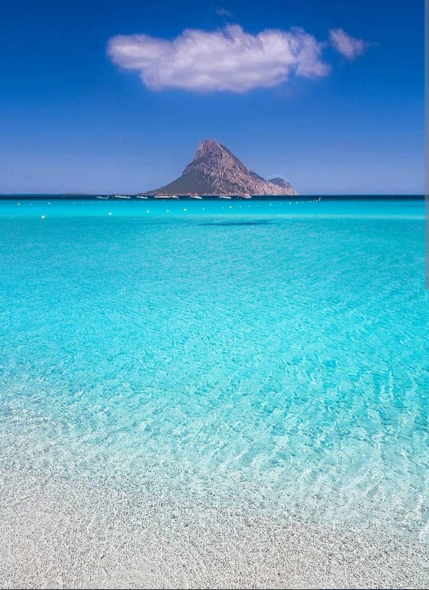 SimonaMascaro64's tweet image. #BluDEstate
Il blu ha mille sfumature.....
dove ti perderesti ....
dove ti rincorreresti
per non ritrovarti....🌊🩵