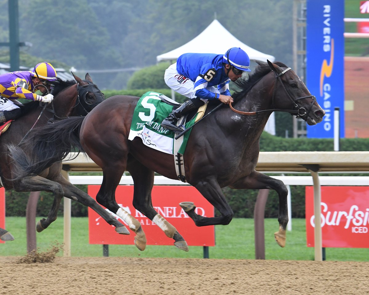 Brisnet's tweet image. Sovereignty best again over Baeza in Jim Dandy! 🤩
spr.ly/6016fOwXg