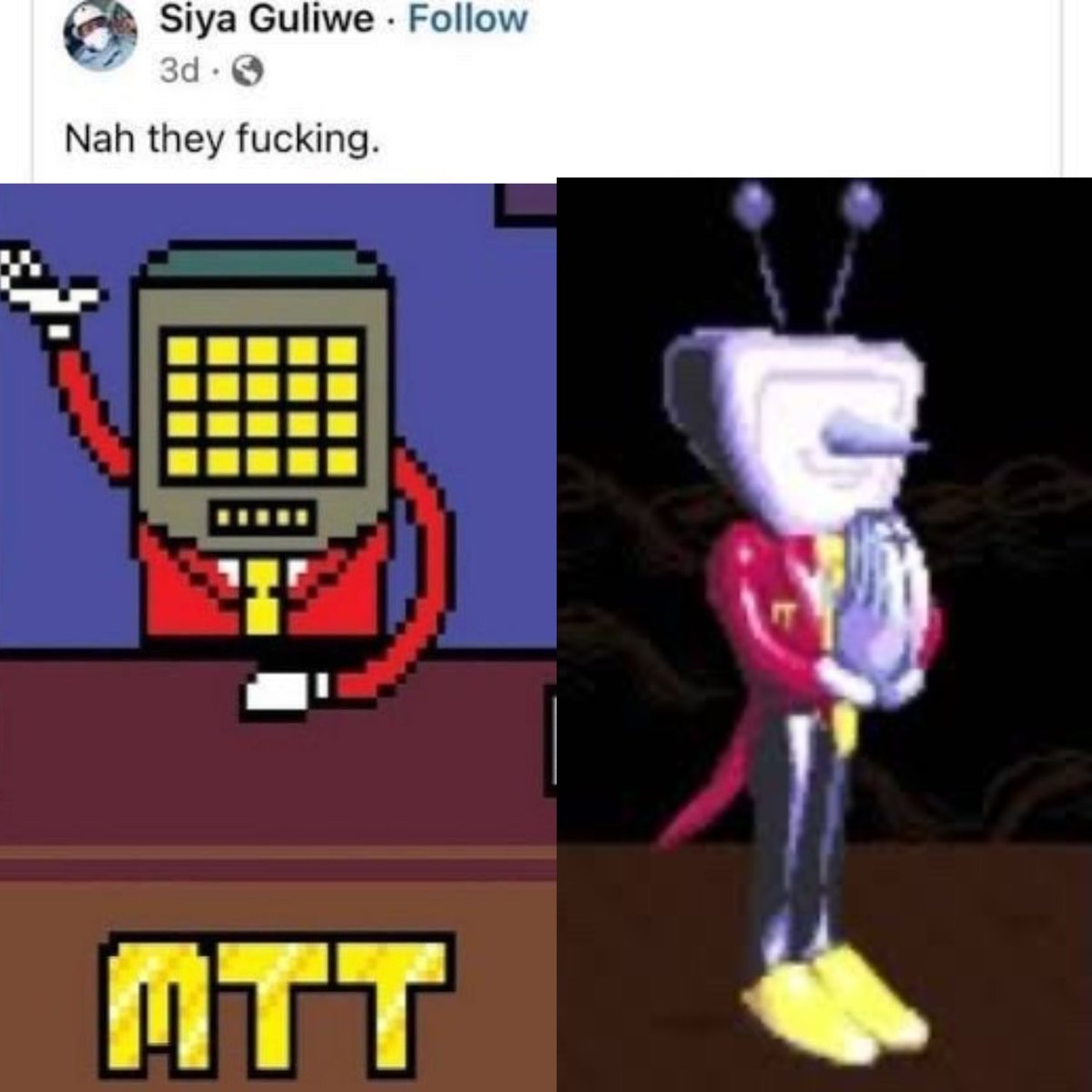 Stupid stupid image #mettatenna