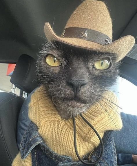 eternal2hare's tweet image. thats how i see john doe sometimes