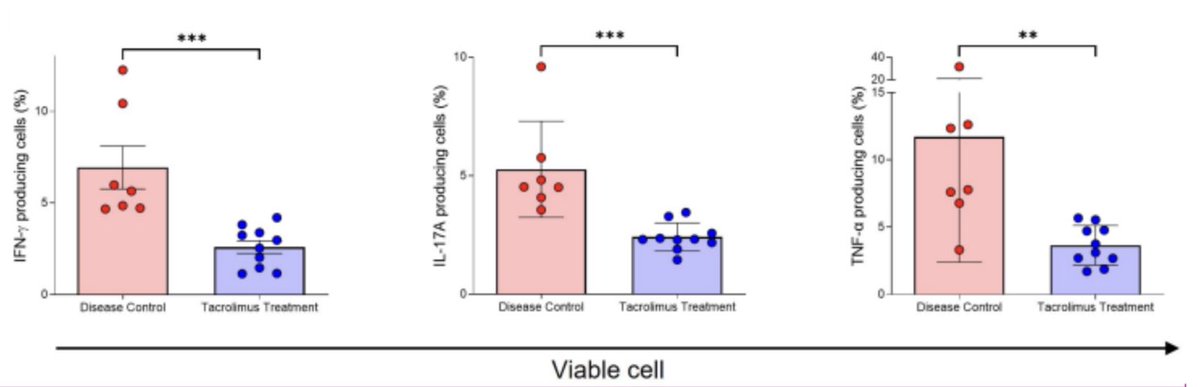 GencTRASD's tweet image. 🔥 Tacrolimus shows promise in ankylosing spondylitis!
🧪 Suppresses key inflammatory cytokines (IFN-γ, IL-17A, TNF-α, GM-CSF)
🐭 Reduces arthritis scores in AS mouse model
A potential new therapy on the horizon?@ArchofRheum 
#AnkylosingSpondylitis #Tacrolimus #AutoimmuneResearch