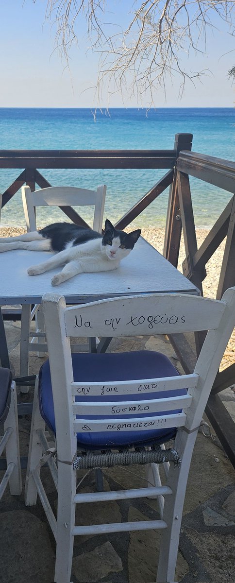 Aslında kediyi çekiyordum, sandalyedeki yazıyı sonra farkettim!

Να την χορεύεις την ζωή... γιατί δύσκολα περπατιέται!!!

Yani şu minvalde bir şey:

"Hayatı dans ederek yaşa... çünkü yürüyerek geçilmesi zor!"