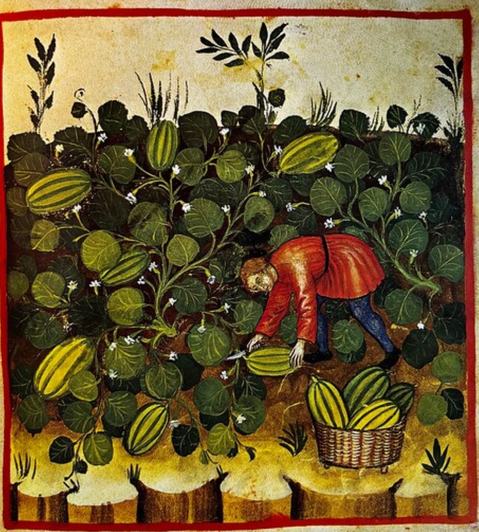 вот раньше крыжовник нормальный был