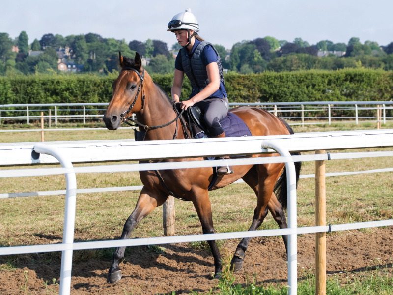 ownersgroupuk's tweet photo. We recently paid a visit to Julie Camacho's Star Cottage to see how the horses in training were getting on.
From first to last; Alpine Girl, Beraz and Brummell.
#AlpineGirl #Beraz #Brummell #OwnersGroup https://t.co/Z3N6ZgL6vK