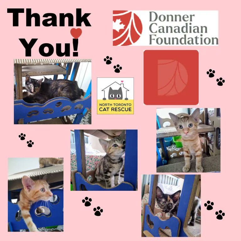 📷 Beyond Grateful 📷We are beyond grateful to have received a very generous donation from the Donner Canadian Foundation. This incredible support has come at a time when it’s needed most, with an influx of new rescues, loving mama cats, &amp; tiny, vulnerable kittens all in our care