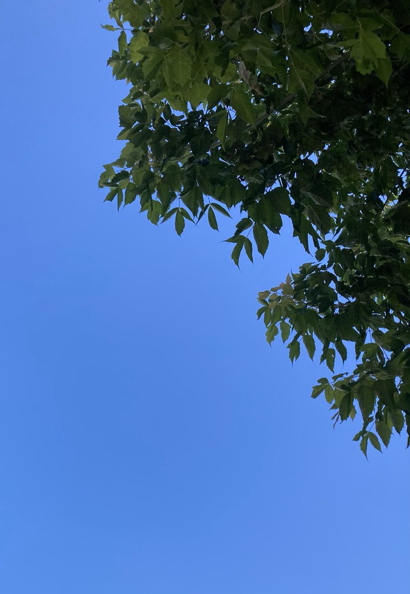 Cinzia232's tweet image. Il cielo oggi è meraviglioso ❤️