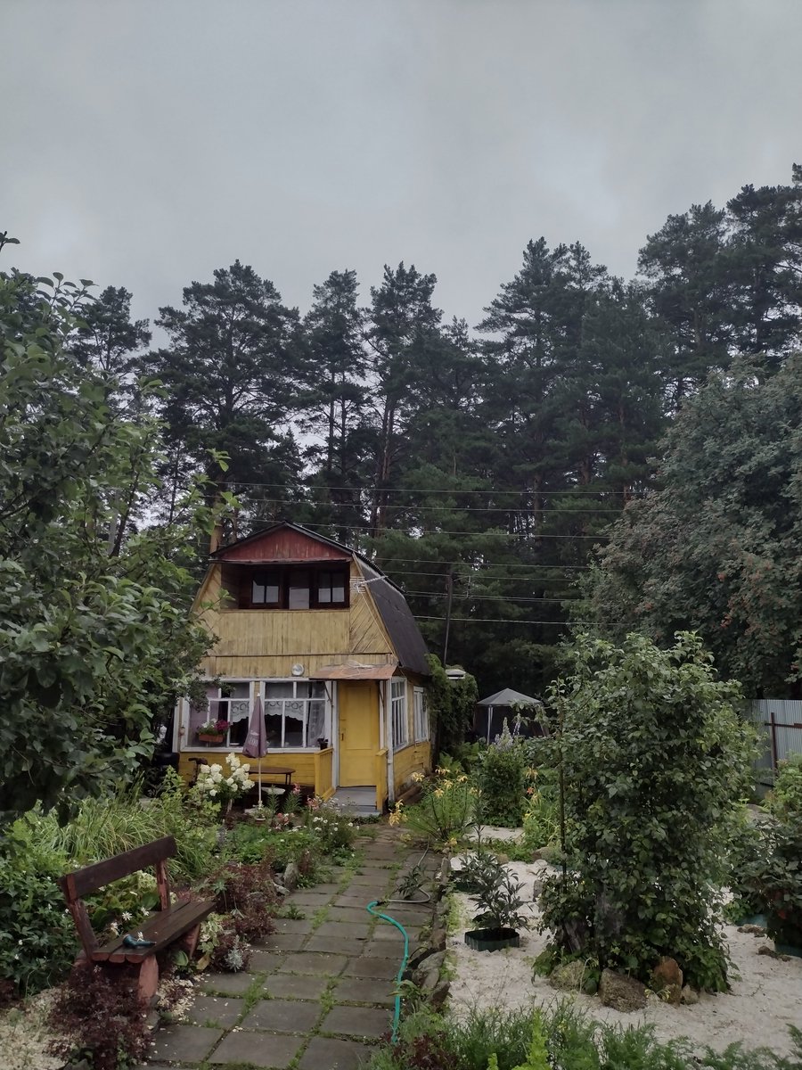 Tis the season #dacha