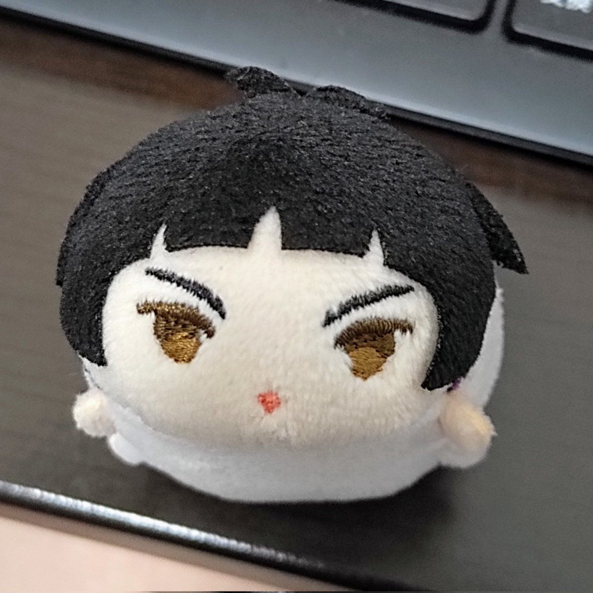 gen_pacchi's tweet image. これはおやつが欲しくて立ち上がってこっちを見てるちゅとむ