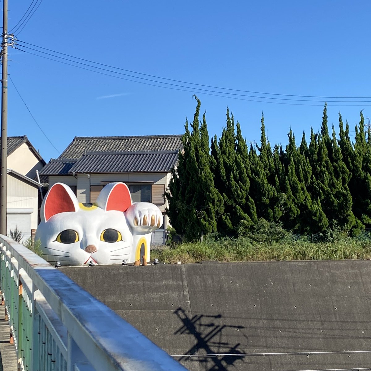 mooowu's tweet image. 夏はやめとけと言われた常滑。時間が余って来れそうだったので来ちゃった。運良く美味しいカレーも食べれたし、来れてとてもよかった。
16:30には概ねお店が閉まってたり、行けんかったとこもあるのでもう少し歩ける気温のシーズンにまた散策に来たいね。
楽しくてずっと歩ける街だ。