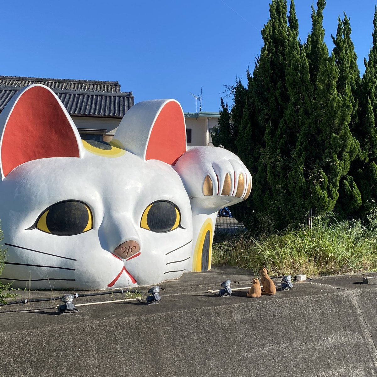 mooowu's tweet image. 夏はやめとけと言われた常滑。時間が余って来れそうだったので来ちゃった。運良く美味しいカレーも食べれたし、来れてとてもよかった。
16:30には概ねお店が閉まってたり、行けんかったとこもあるのでもう少し歩ける気温のシーズンにまた散策に来たいね。
楽しくてずっと歩ける街だ。