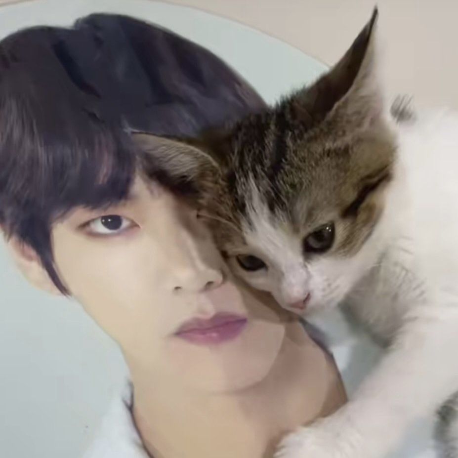 softoytaetae's tweet image. 