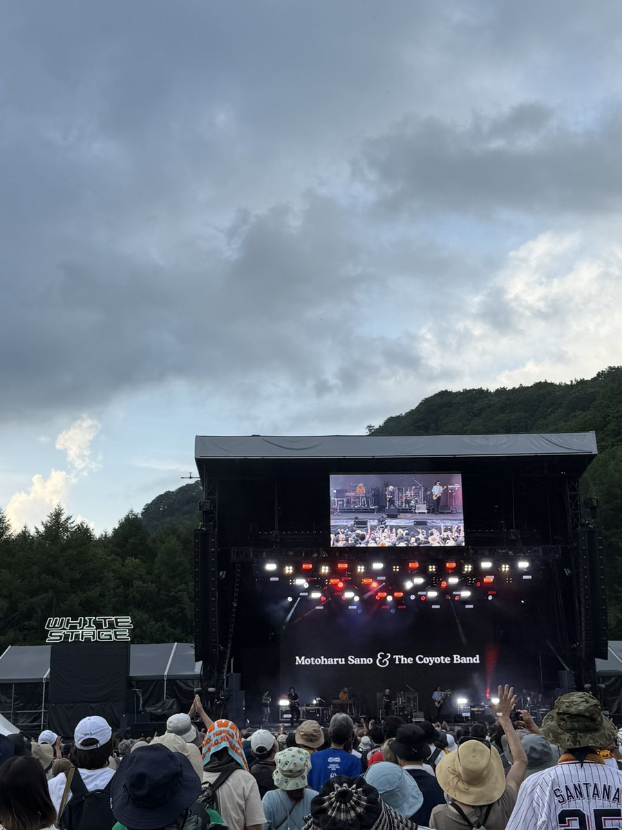 English Teacher終わって速攻でホワイトの佐野元春へ💨しかし、最後の最後に佐野さんがチラッと見えただけだった😂やはりレッド→ホワイトの移動は遠い🥲 #FUJIROCK2025