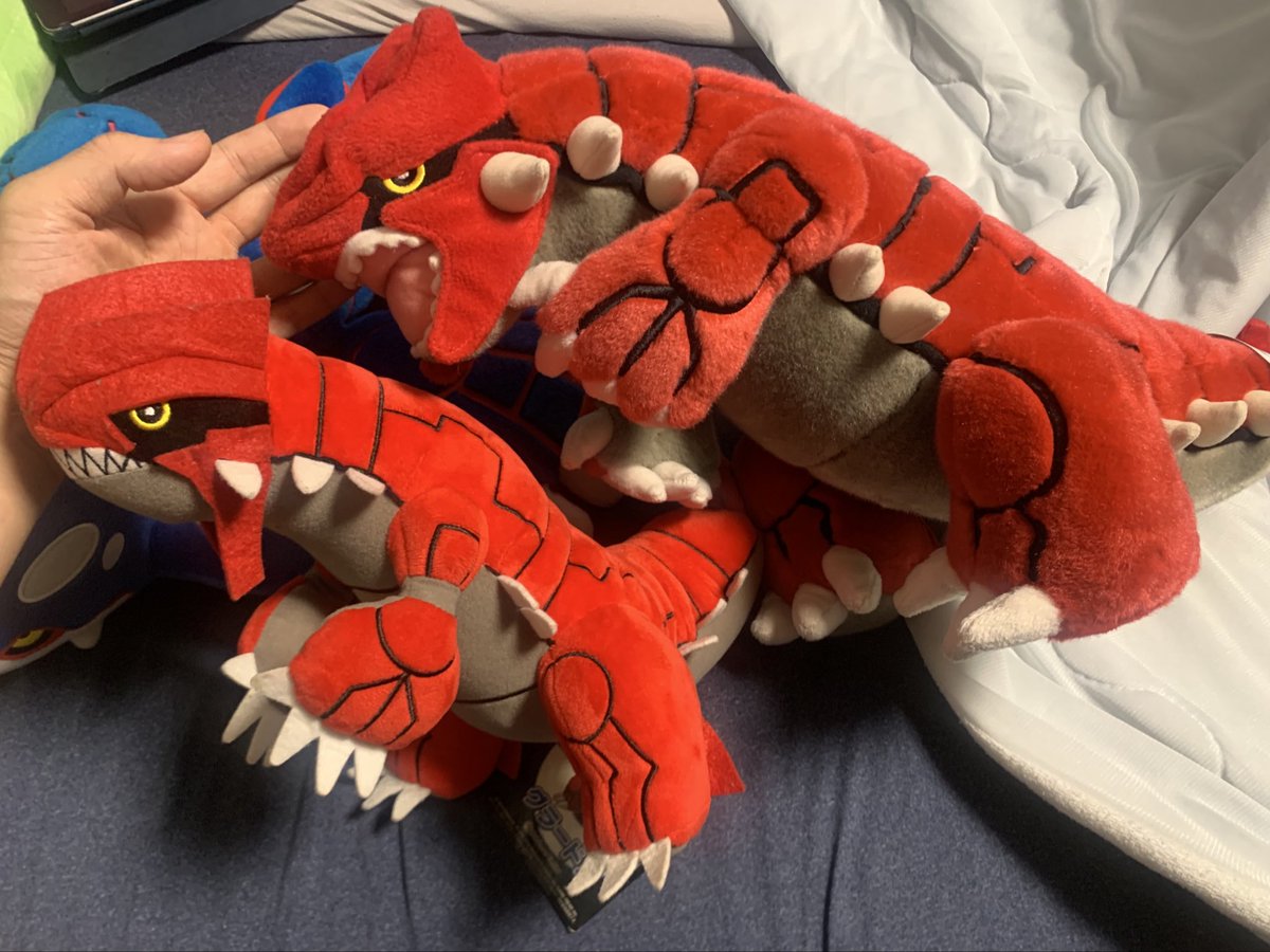 このグラードンはサイズ感と生地とタグからしてルビサファ世代の初期っぽい？とりあえずカイオーガにもようやく相方が見つかって何より👍

古いのに作りは細かいし縫い目もほつれない、2014年のポケセンのぬいぐるみより大きくかなりコストかかってる作りだなぁと

今回の遠征は大当たりですな🎯