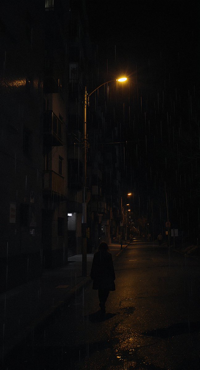 taherdhanera's tweet image. Pressed Between Shadows.