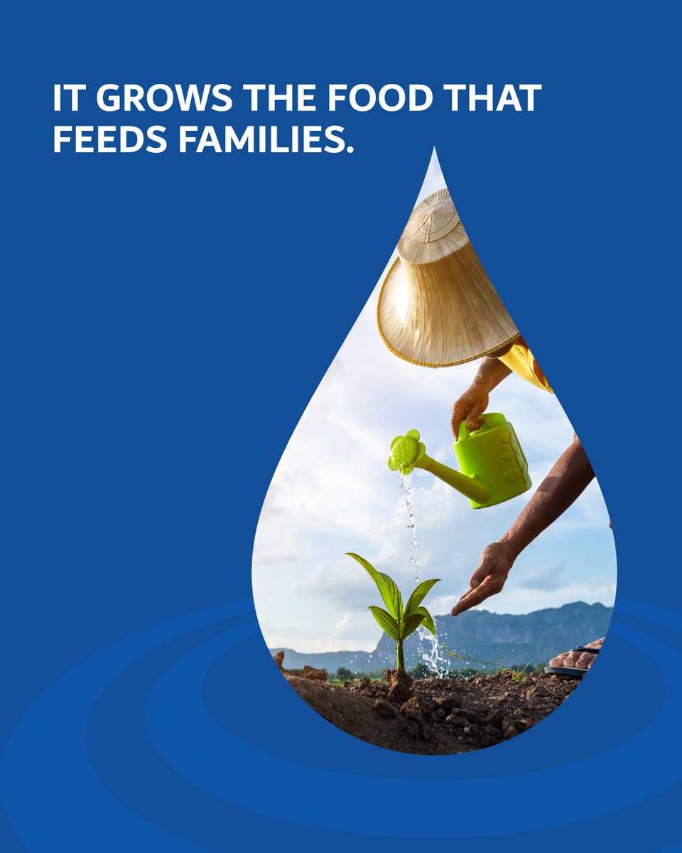 Transform lives with clean water. Support #SuqiaUAE and help farming communities grow the crops that nourish their children and their future.
Donate now via this link: suqia.ae/ar/donation