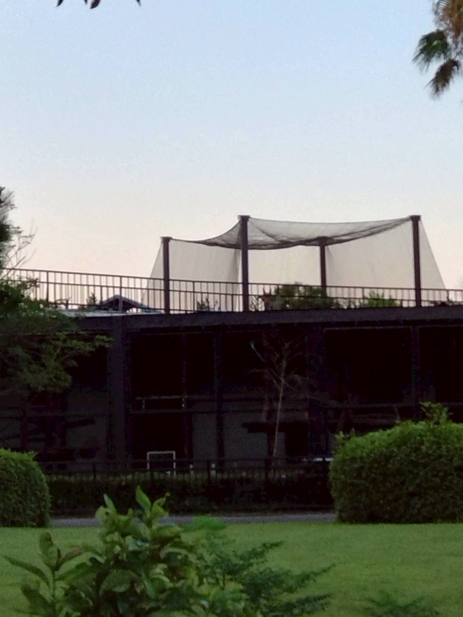 m_phoenixzoo's tweet image. トワイライトzooウォッチャーでの1枚。
案内の時に、アツ~い視線を感じたのでよく見てみると…?
#マサイキリン の #トウマ がじーっとこちらを見ていました。
この距離で分かっちゃうの?!
(キリン担当者だとバレていたようです笑)
#宮崎市フェニックス自然動物園