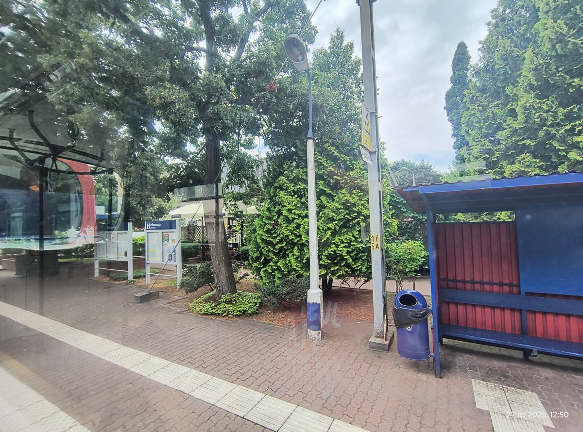 JMadrjas's tweet image. WKD ładnie umie w małą zieleń 🥰🌳
A liczba krytych miejsc rowerowych w Podkowie Leśnej to naprawdę sztosik 🚲