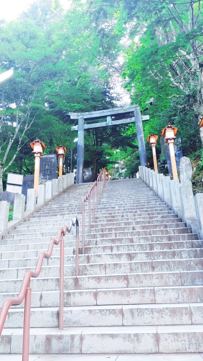 chitose_y108's tweet image. ひぐらしの声が聞こえる東京
どーこだ？