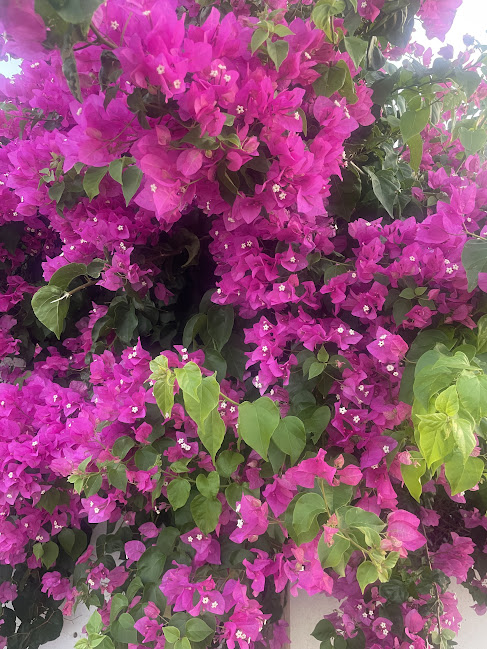 Horsham & Crawley Samaritans tweet media