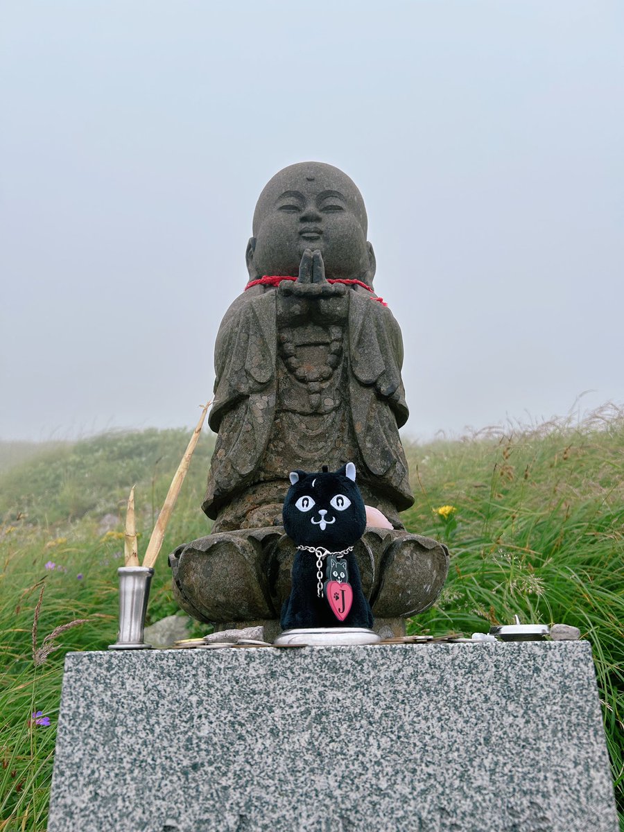 comma_mi_'s tweet image. お山に登ったﾆｬｰ
膝がｶﾞｸｶﾞｸﾆｬｰ
#ペケたび