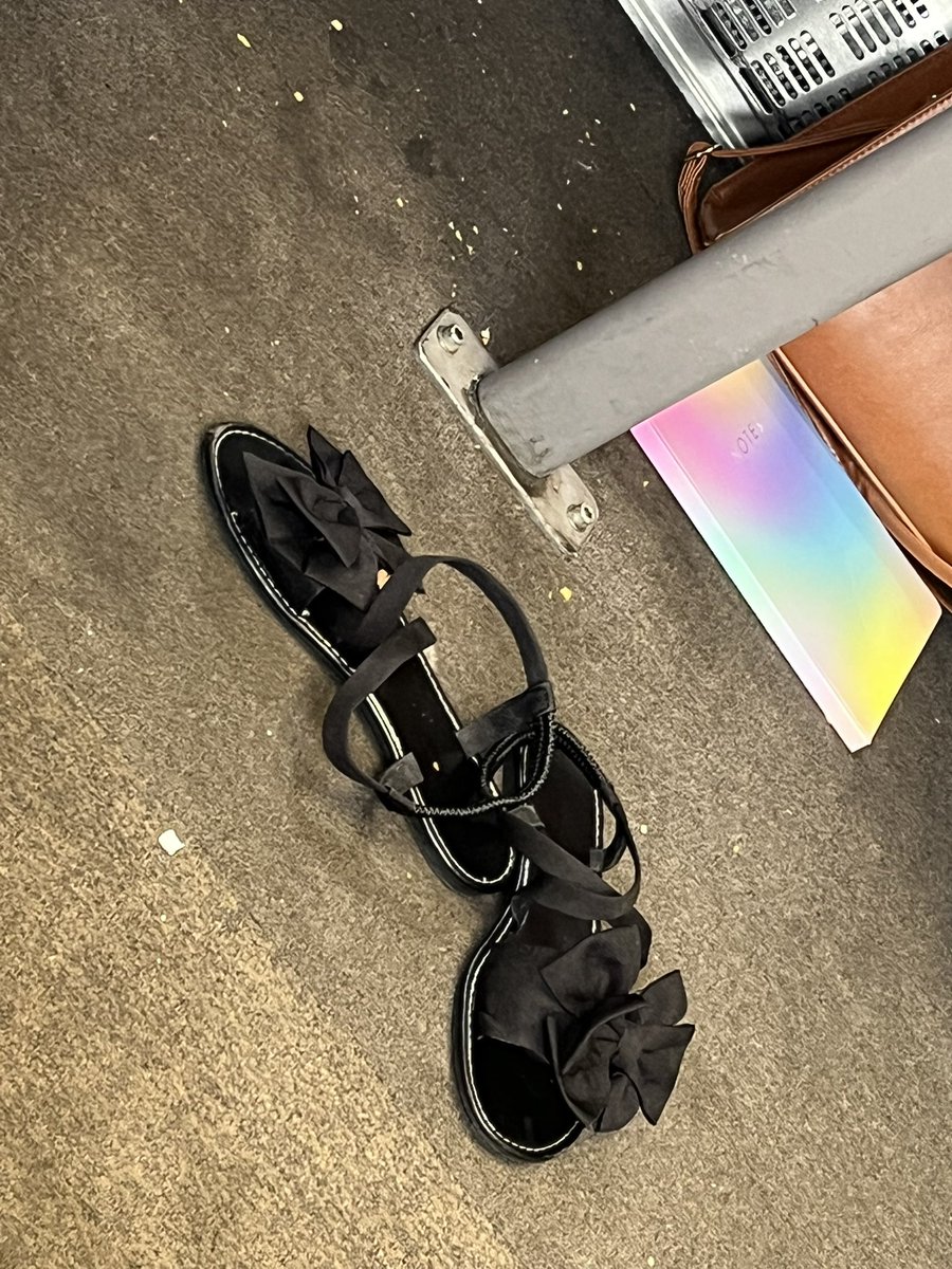 MittenDAmour's tweet image. Witnessed a woman visit the on-train lavatory COMPLETELY BARE FOOT. Just fucking trigger the nuclear apocalypse now, we’re done here.
