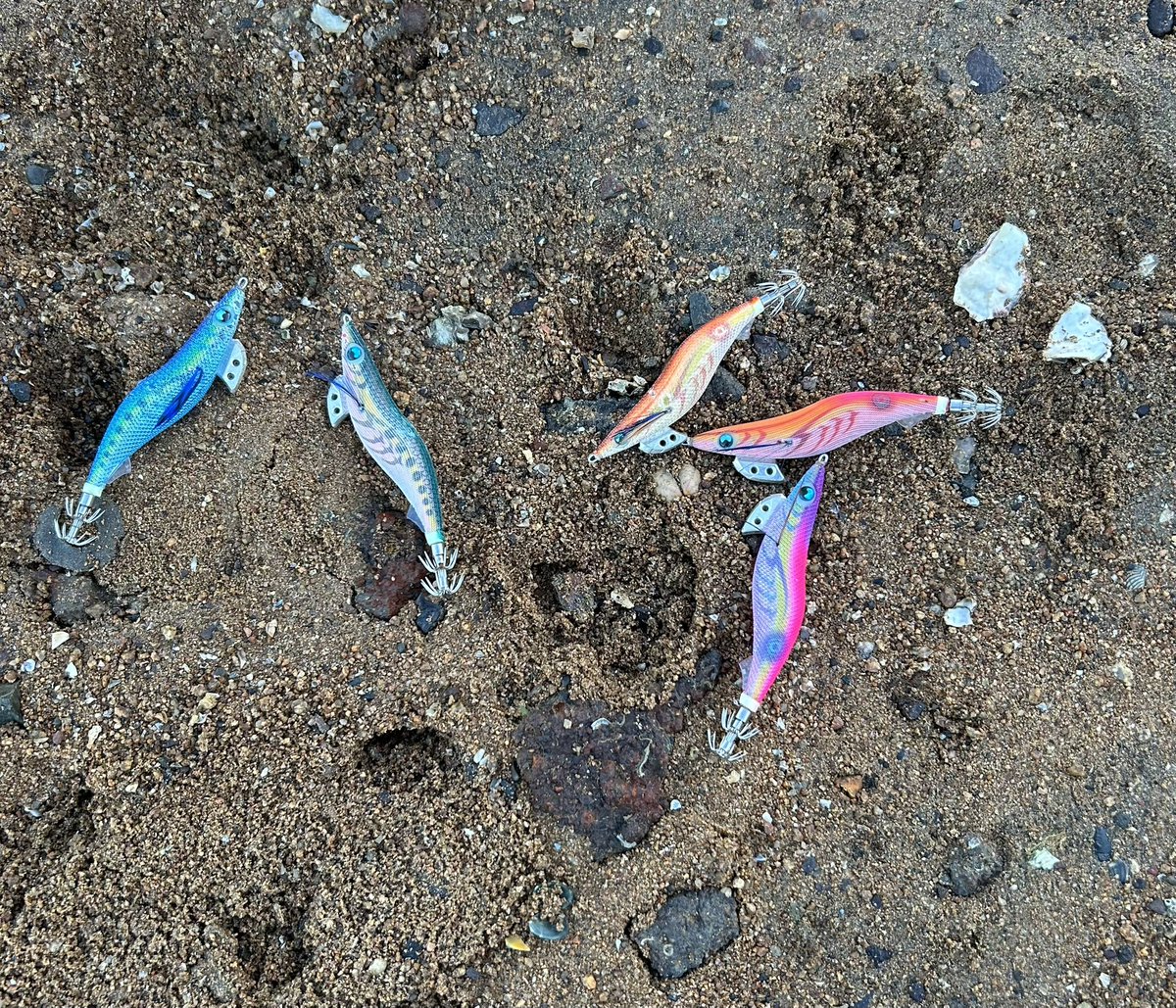 お察しください😫
今季はイカ終了です、また秋に楽しみます😊