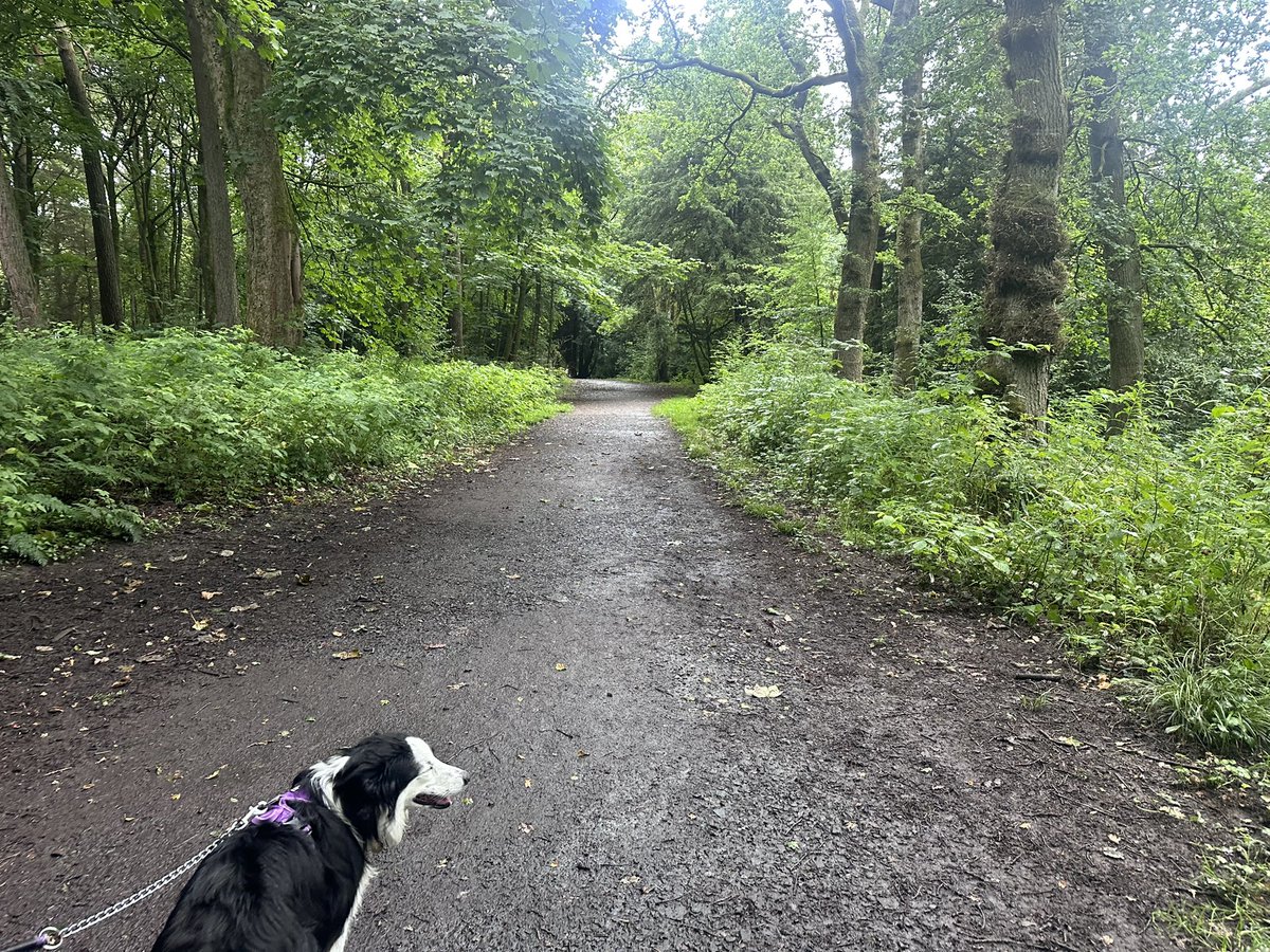 KinlochSusan's tweet image. Polkemmet country park ๐ด๓ ง๓ ข๓ ณ๓ ฃ๓ ด๓ ฟ๐ณ๐ถ