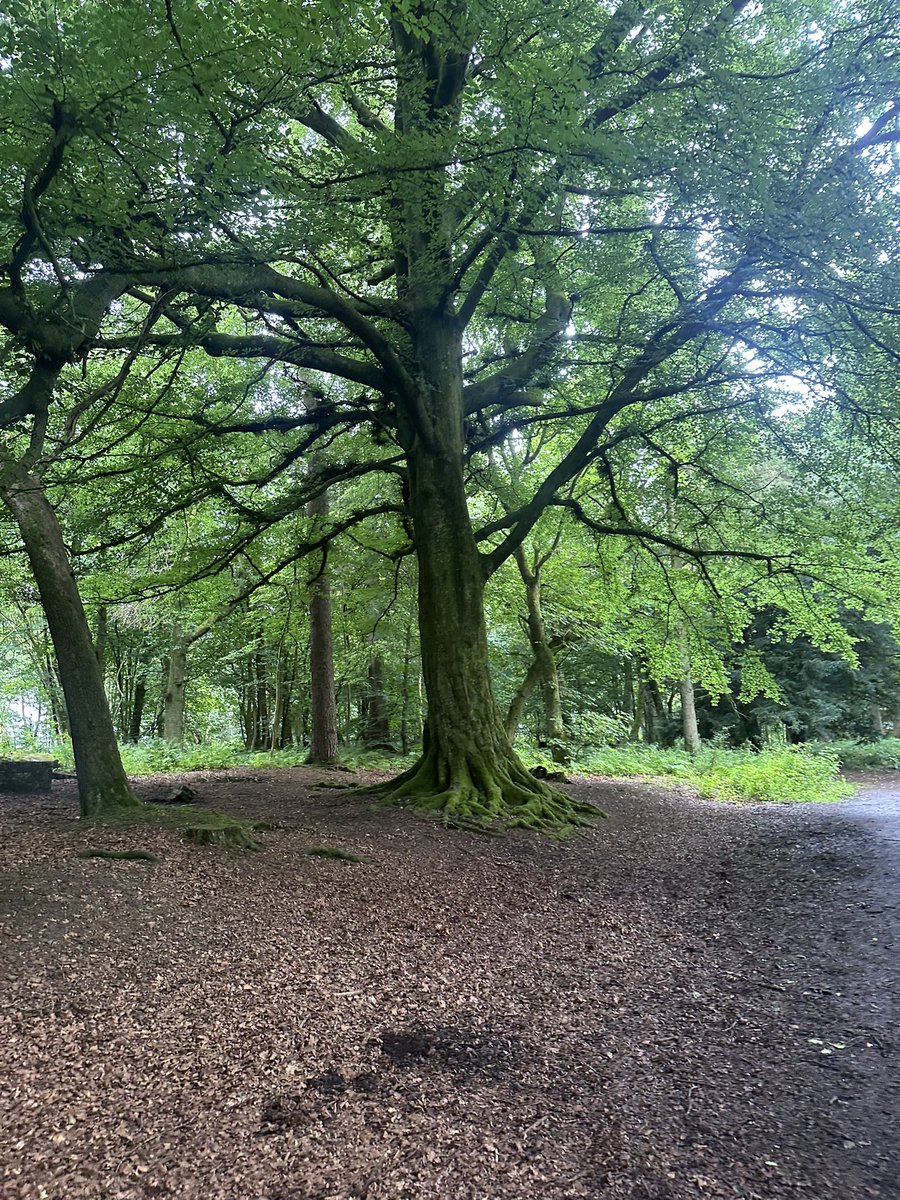 KinlochSusan's tweet image. Polkemmet country park ๐ด๓ ง๓ ข๓ ณ๓ ฃ๓ ด๓ ฟ๐ณ๐ถ