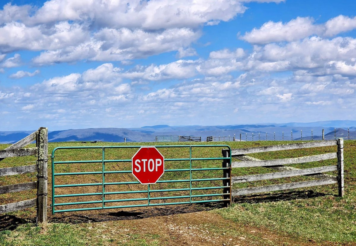 JonathanKMartin's tweet image. Good Morning, West Virginia!
📍Raleigh County, West Virginia