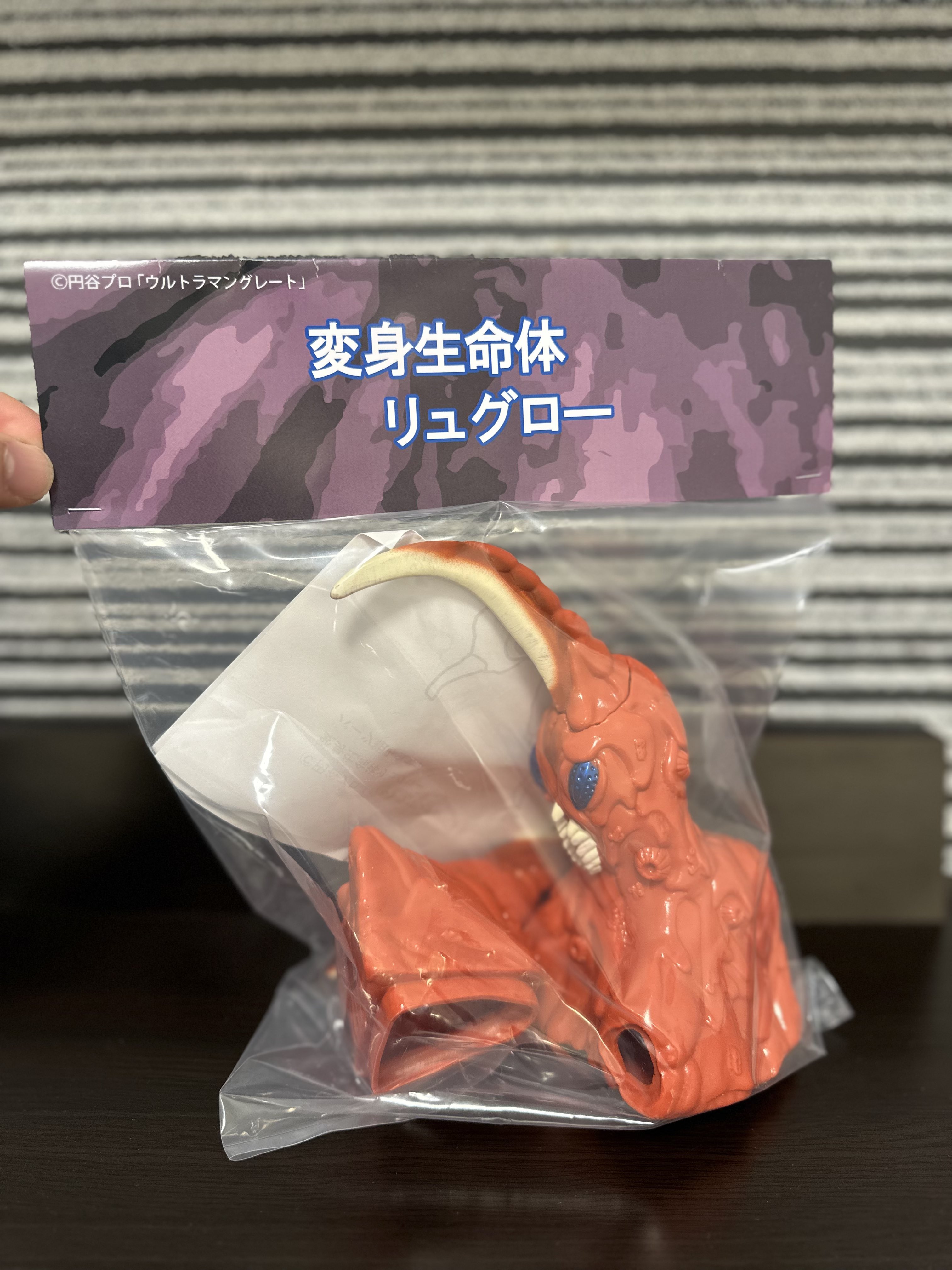 WF2025 ワンフェス　ワンダーフェスティバル　とっか道　変身生命体リュグロー WF2025 ワンフェス ワンダーフェスティバル とっか道 変身生命体