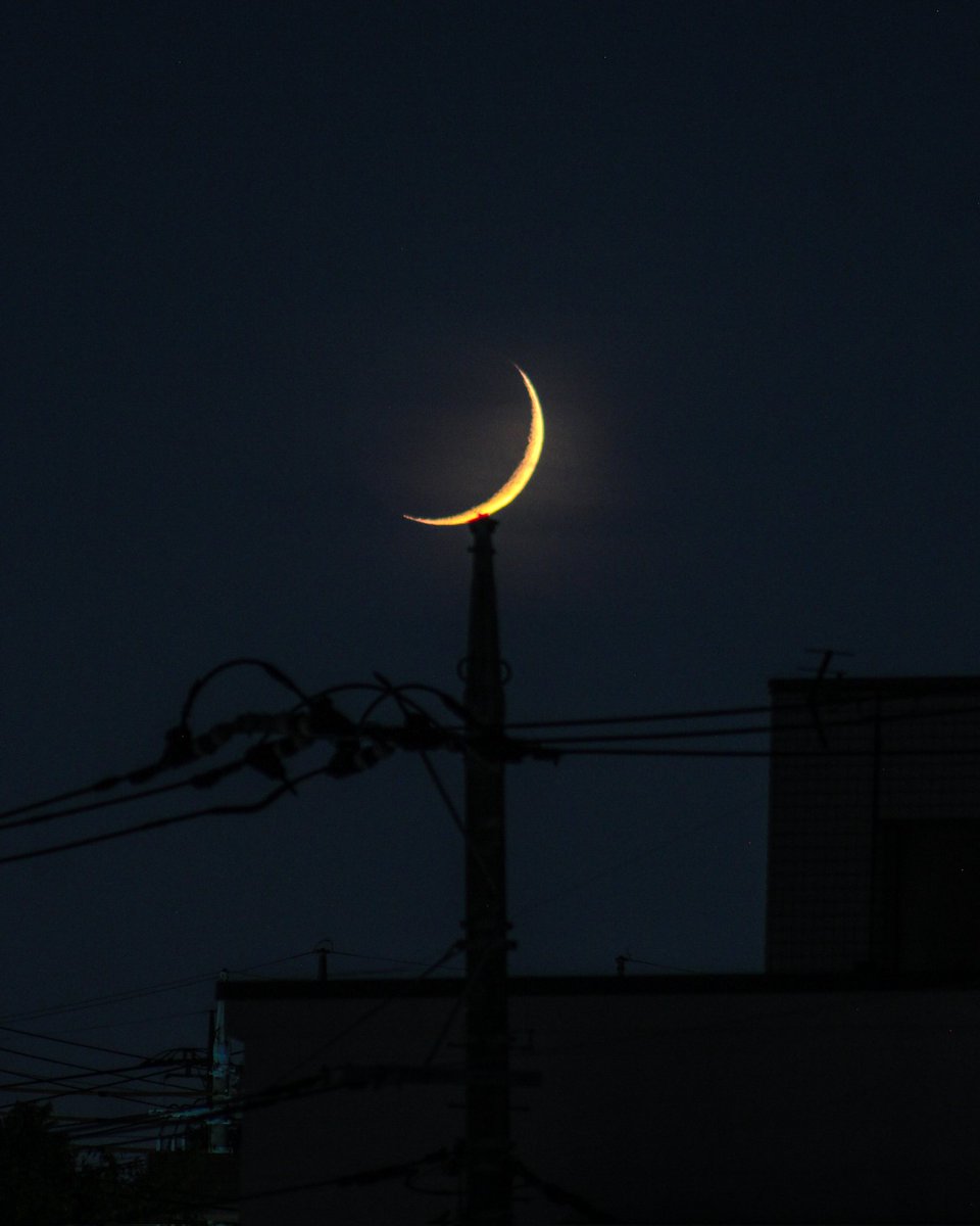 hiy_twinkle's tweet image. 沈む間際 電柱にそっと乗っていただいて…おやすみなさい また明日。