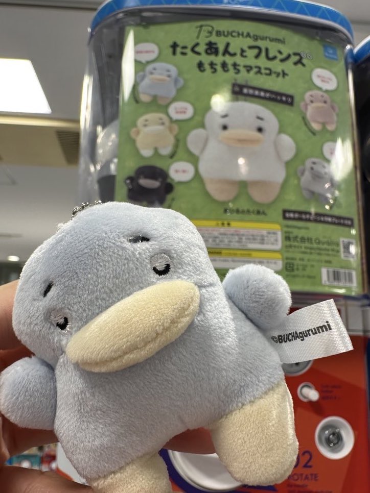 _103u3's tweet image. 一番欲しかった子が一発できてくれました🩵💤
ひじきも友だちができてうれしそうだったけど愛用の寝袋を貸したら若干不満そう?🤭
@BUCHAgurumi
#うちのBUCHAgurumi