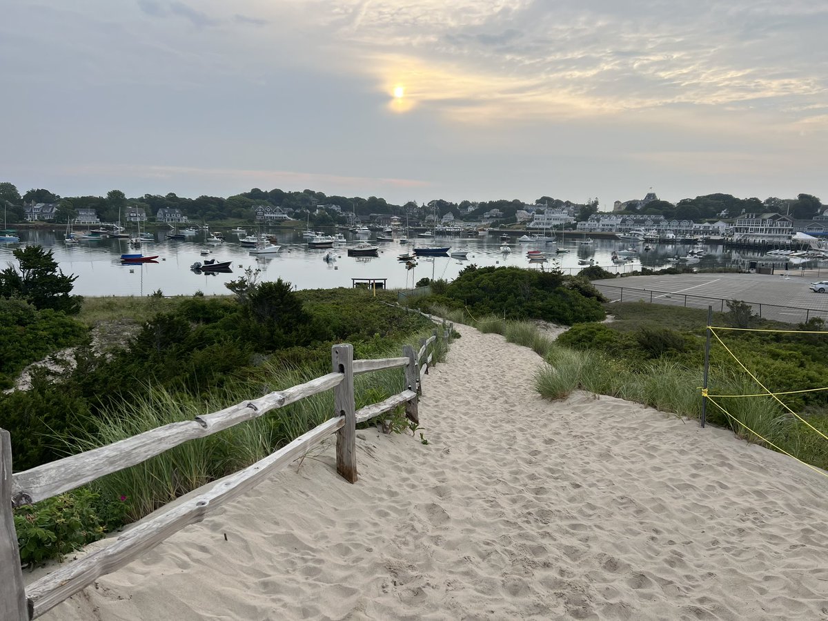 paradisoins's tweet image. A beautiful run this morning