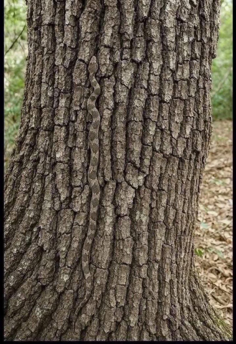 yesknow's tweet image. What do you see in this picture?