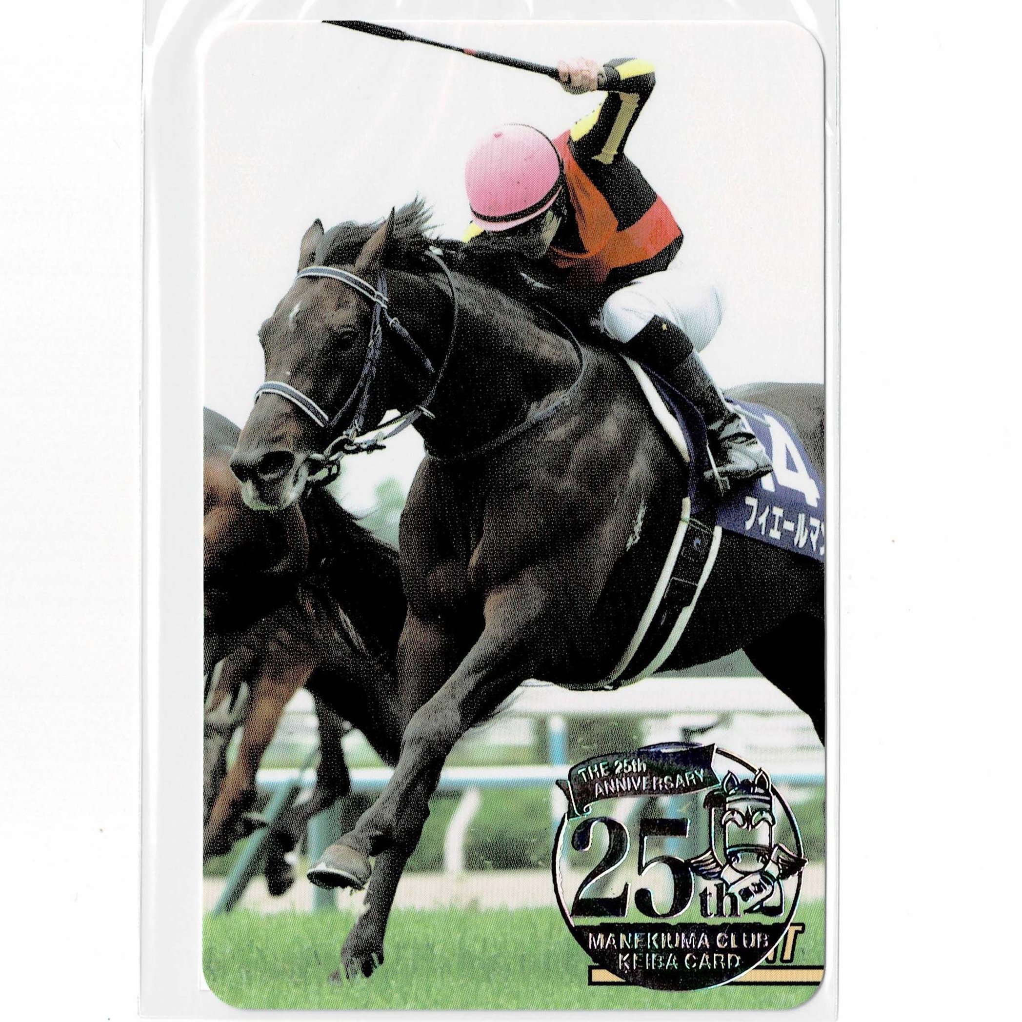 まねき馬 レインボーカード 第56回阪神JF No.916 他 4枚セット まねき馬 レインボーカード 第56回阪神JF No.916 他 4枚セット