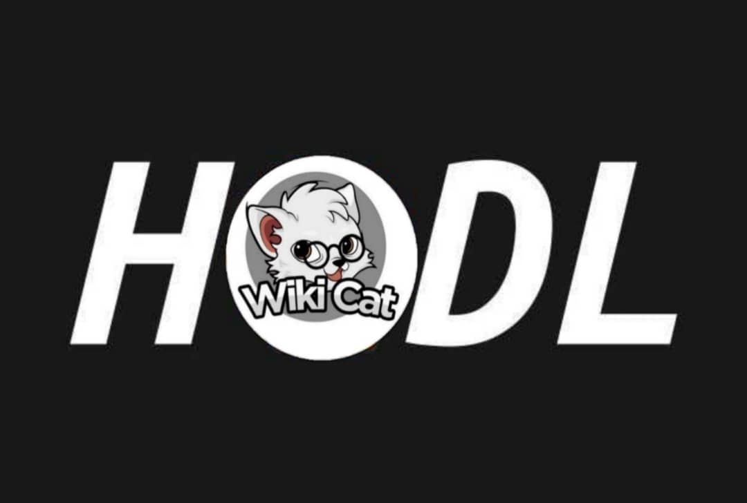 amaziro1's tweet image. If you not hodling  thulis guy I wonder what you are hodling