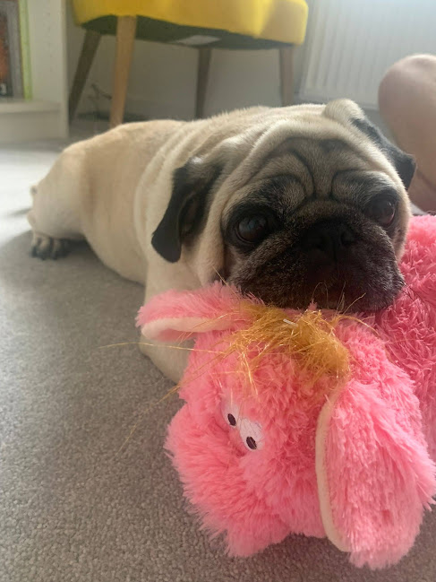 Horsham & Crawley Samaritans tweet media