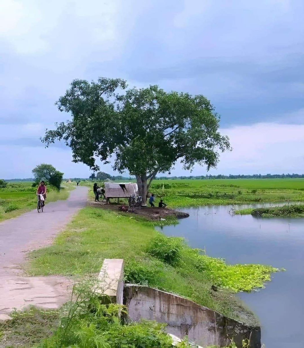 askshivanisahu's tweet image. मौसम...👌