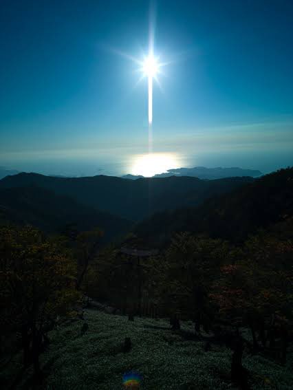 cucumberworks's tweet image. #pixOcam の「Smear」機能、知っていますか？
昔のCCDセンサーは、受光フォトダイオードが過充電すると電子があふれ出し、同じ垂直伝送路上の画素がにじんでしまいます。
pixOcamには縦・横・2方向のSmearオプションがありますが、実際のにじみ方向はこの信号線の方向で決まります。
#胡瓜工房