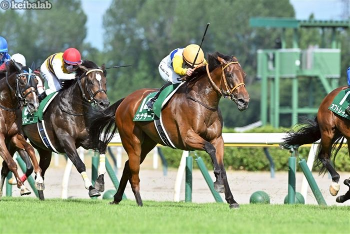競馬ラボ tweet media