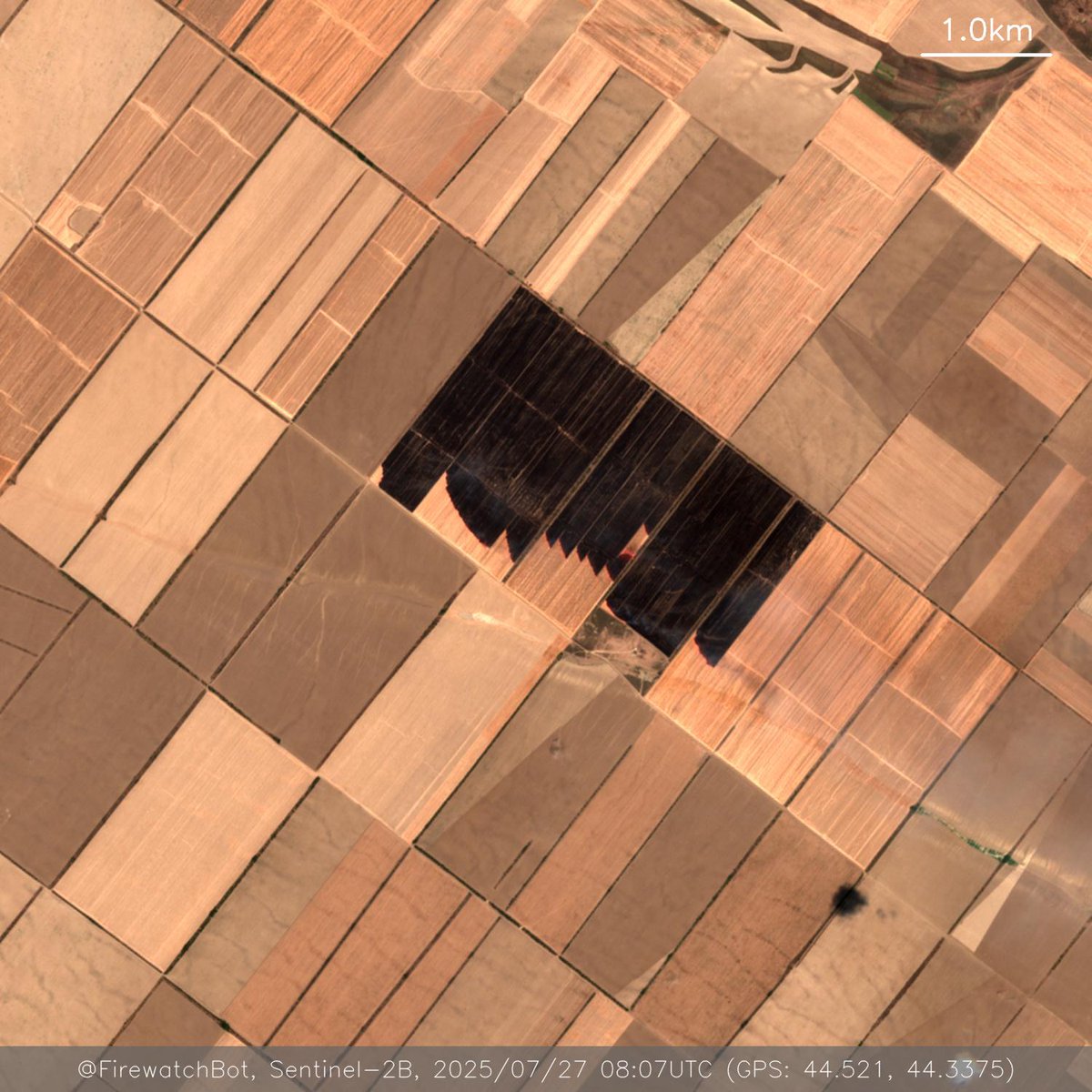 しか (@shika_ishi) / X