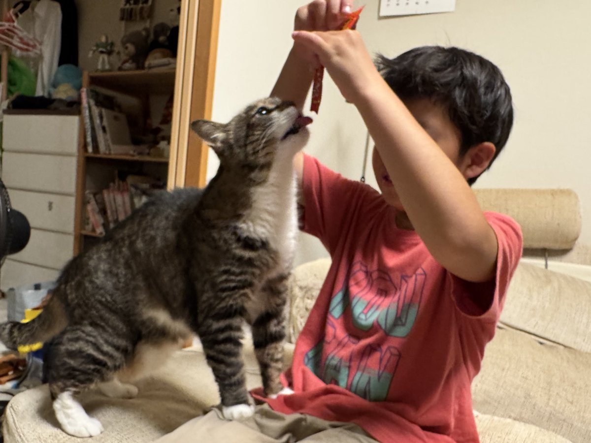 poncho_neko's tweet image. お留守番のごほうびタイムにゃお！