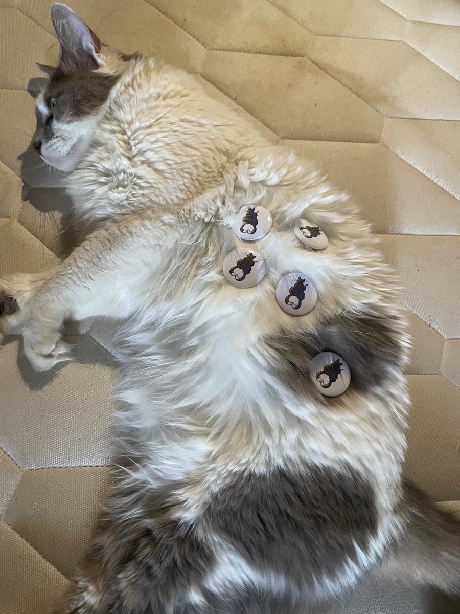 valhallacats's tweet image. “Oh! What a cool fabric!”
The fabric