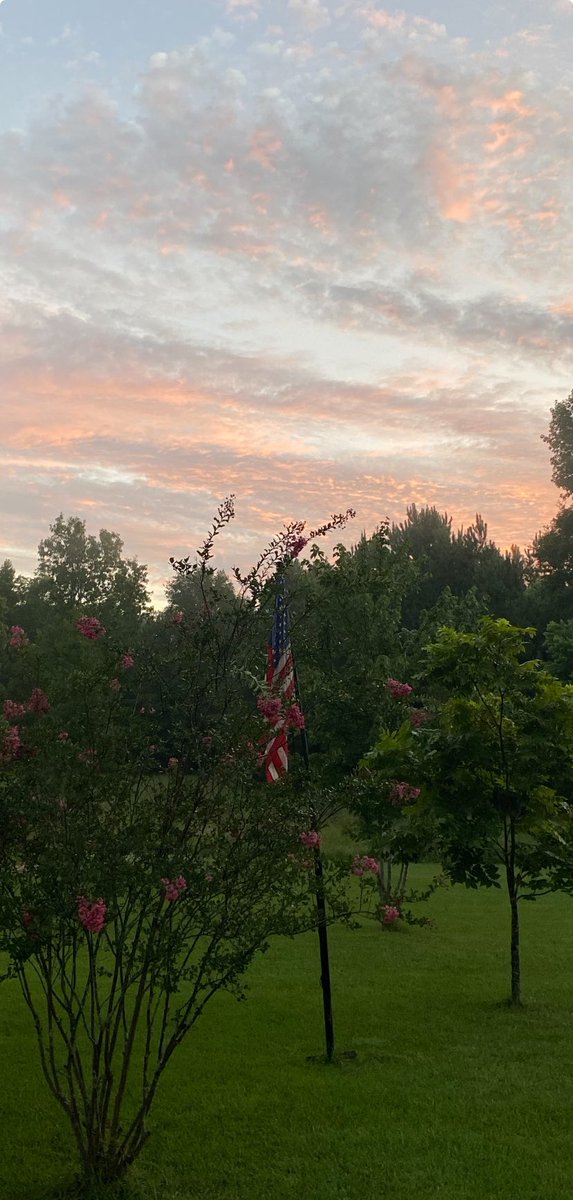 Good morning 🇺🇸