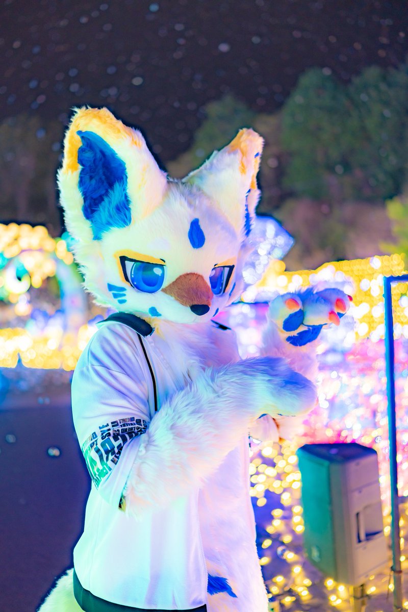 こっちきてきてっっ✨